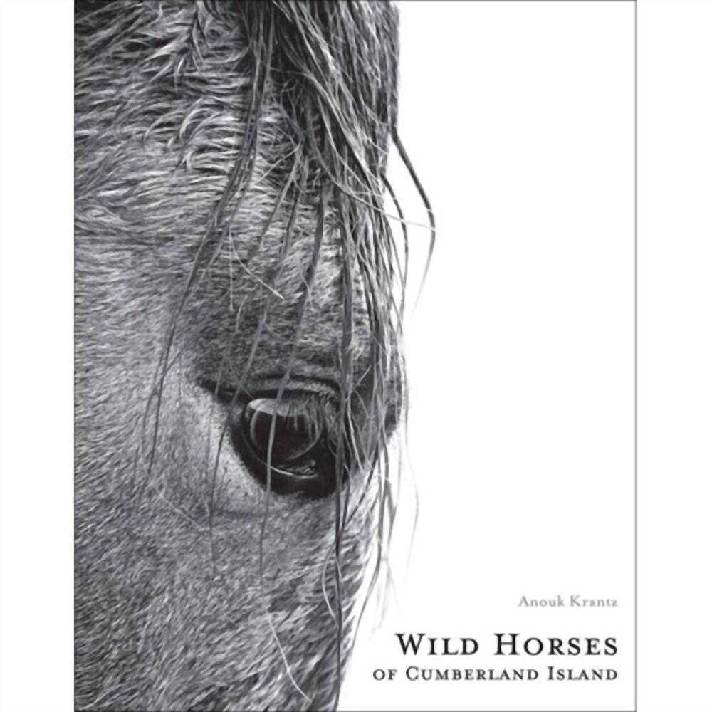 NEW NATIONAL BOOK NETWORK wild horses of cumberland island second in black/white